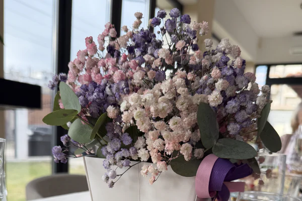 Солна стая Ихтиман