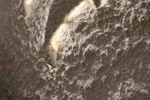 Солна стая Ихтиман